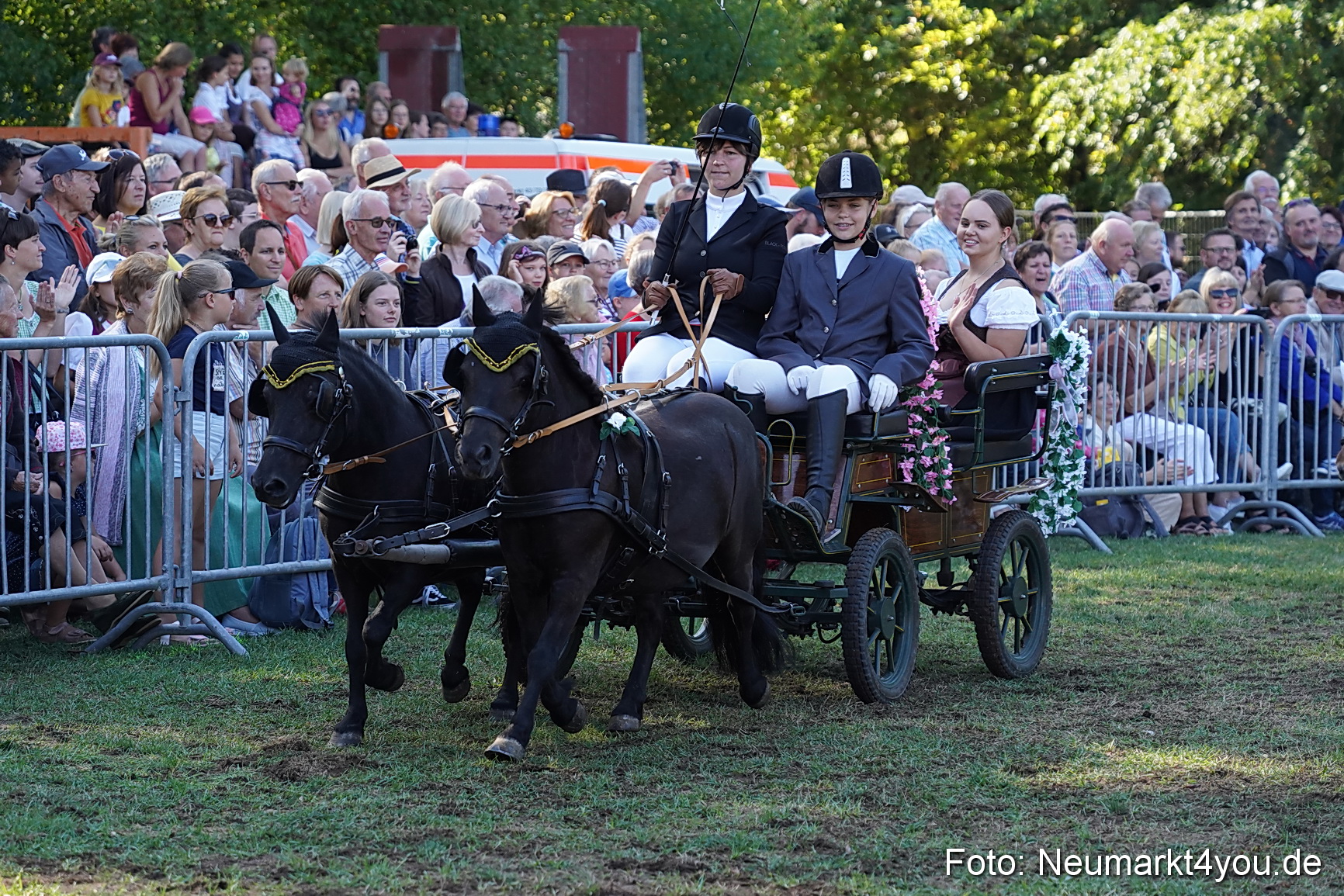 Pferde und Fohlenschau 2022 0092 